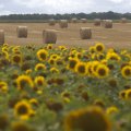 Okolice Saint Mathurin sur Loire