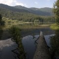 Park Narodowy Biogradska Gora