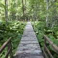 Park Narodowy Biogradska Gora