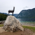 Jezioro Bohinj.