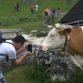 Velika Planina.