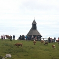 Velika Planina.