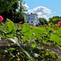 Ogrody królewskie przy rezydencji Lollidens Slott